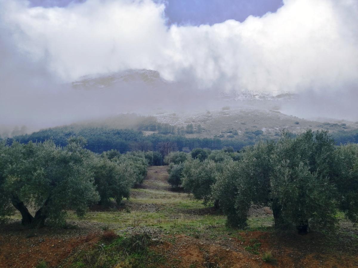 Alojamiento Rural La Caseria De Piedra Restaurante Jaén Esterno foto